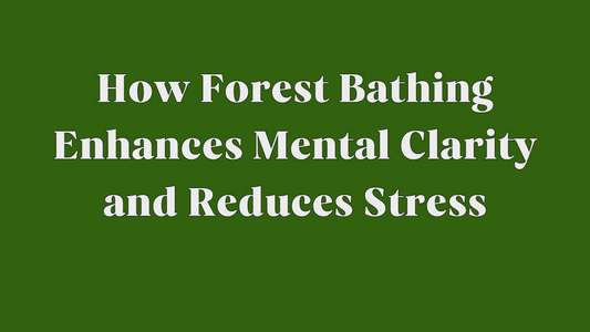 Unlocking Sereni-tea: How Forest Bathing Enhances Mental Clarity and Reduces Stress