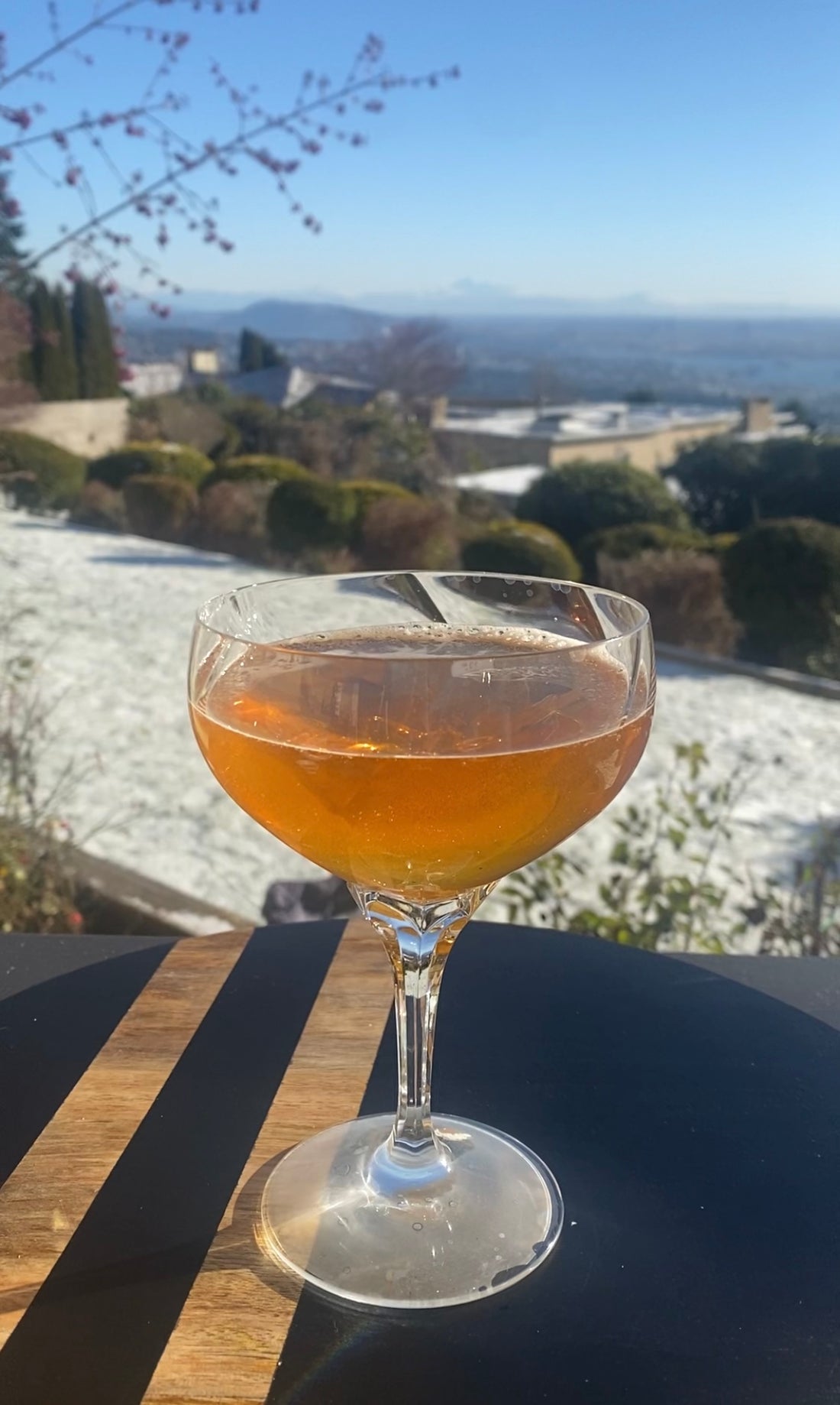 Earl Grey-Tequila Martini